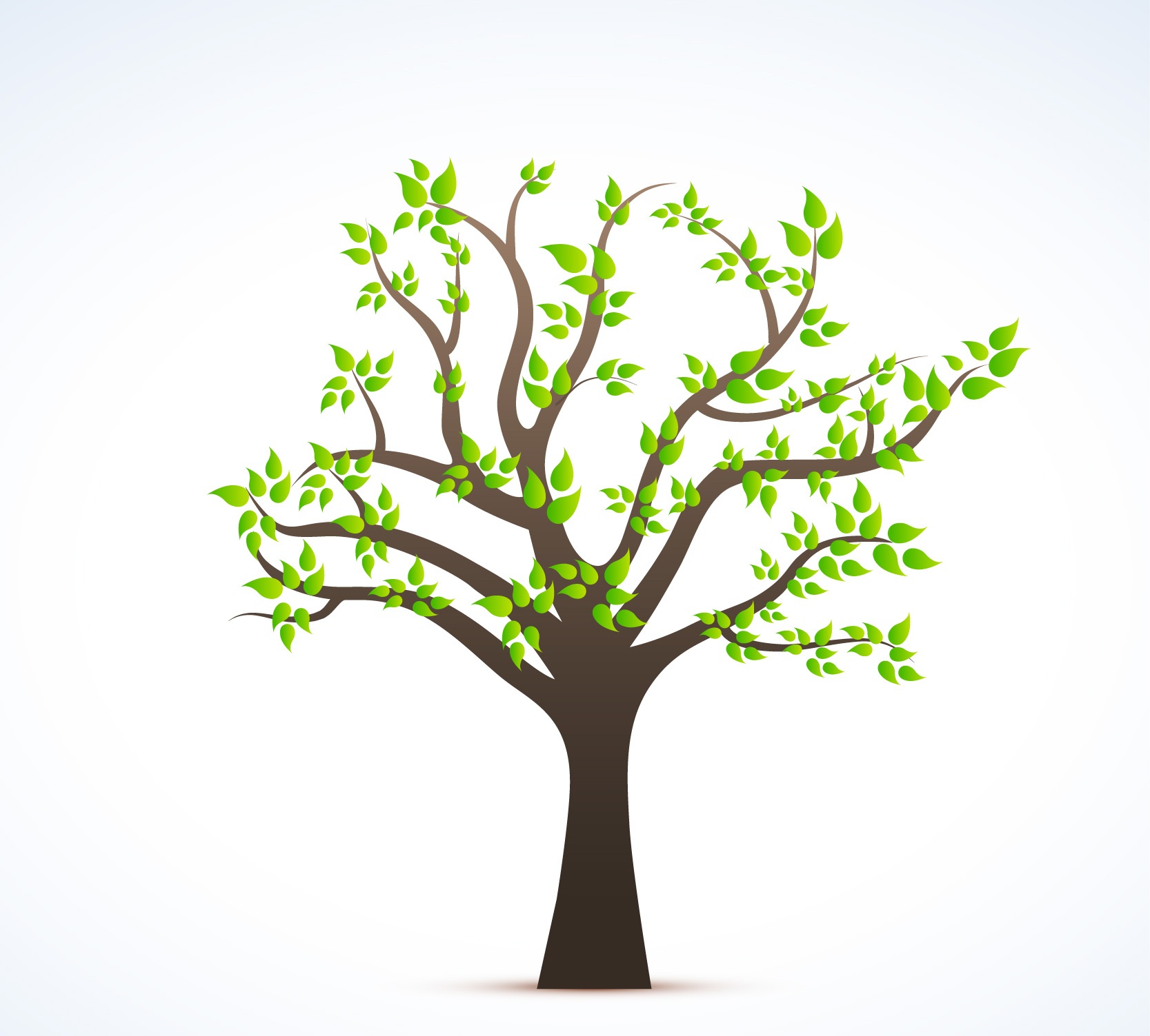 Majestic Big Tree with Green Leaves and Branches